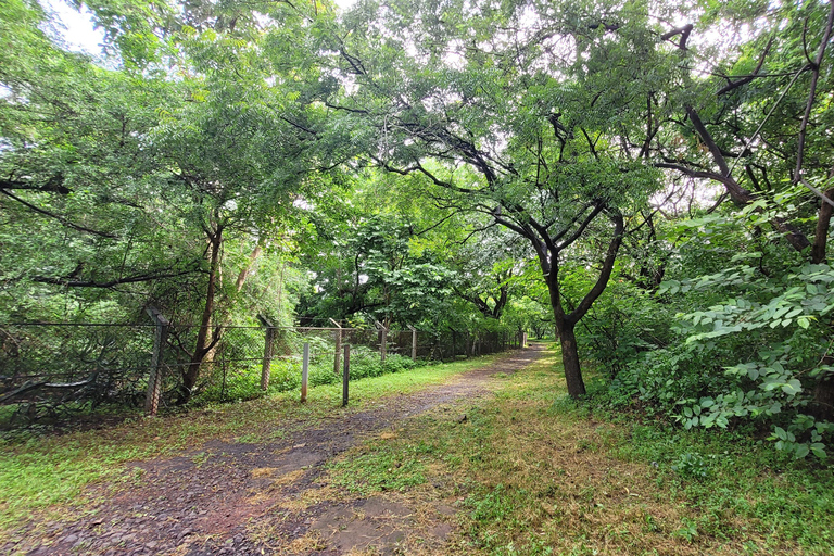 Mumbai: Parco Naturale del Maharashtra - Percorso naturalistico guidatoMumbai: Percorso naturalistico guidato nel Maharashtra Nature Park