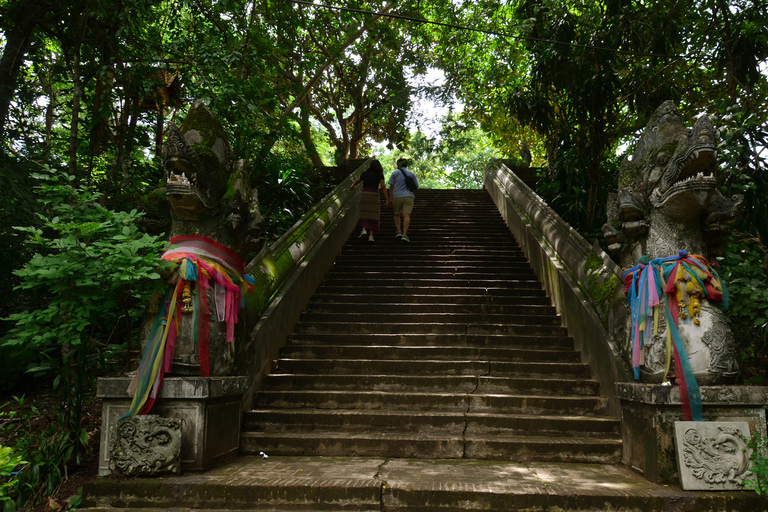 Chiang Mai: 4-godzinna wycieczka do Doi Suthep, Wat Umong i Wat Phalat