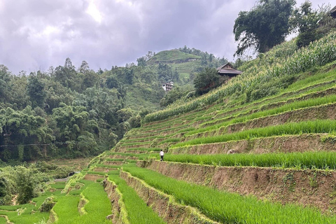 Z Hanoi: 3-dniowy trekking Sapa (nocleg w hotelu i u rodziny goszczącej)