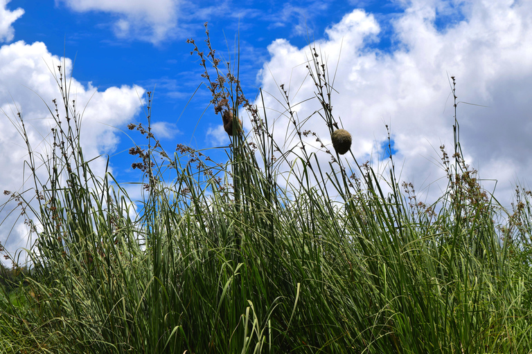 Duluti-See: Kanufahren, Naturwanderung und ExtraKajakfahren, Spaziergang in der Natur und Töpferkurs