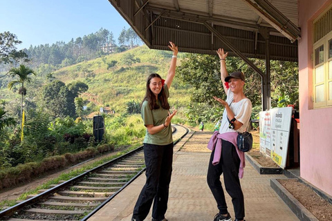 Ella: All-Inclusive 5 Icons Tour with Train Ride