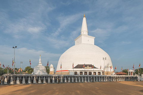 From Trincomalee: Anuradhapura Guided Day Trip with Pickup