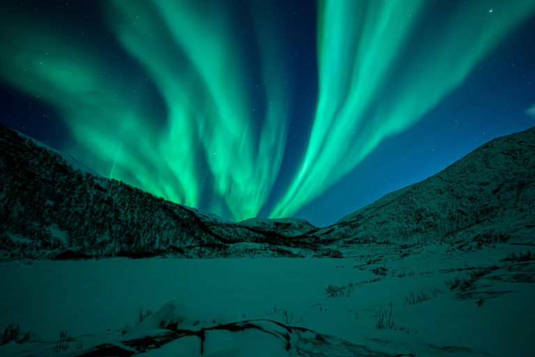Tromsø: Northern Lights Tour with Hot Drinks and Snacks