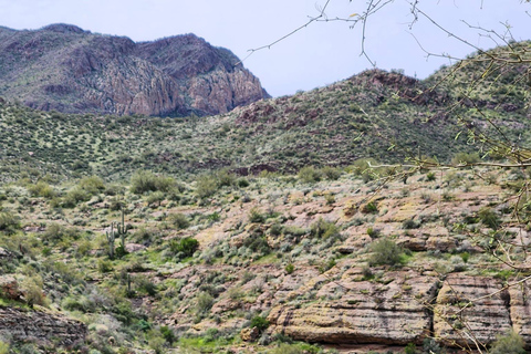 From Phoenix: Vortex to Vineyard Shared Tour Private Group 1-5