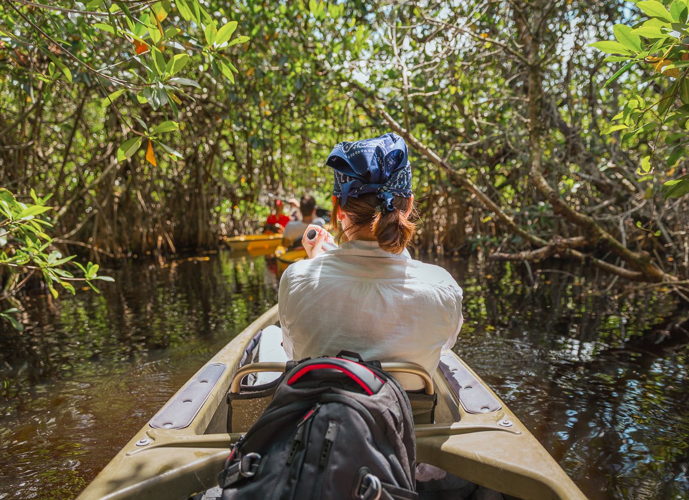 Everglades National Park: Mangrovetunnel-kajak-økotur