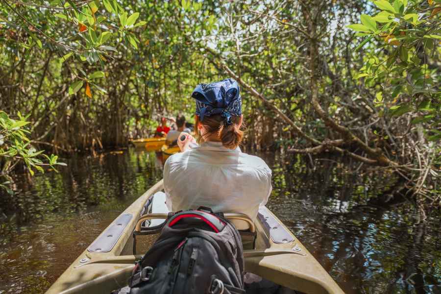 Everglades Nationalpark Mangroventunnel Kayak Öko-Tour. Foto: GetYourGuide