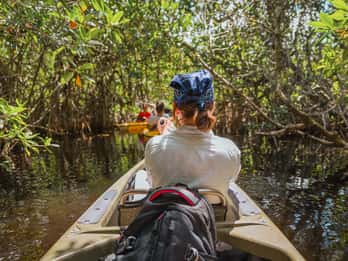 Parc national des Everglades : Excursion en kayak dans le tunnel de la mangrove