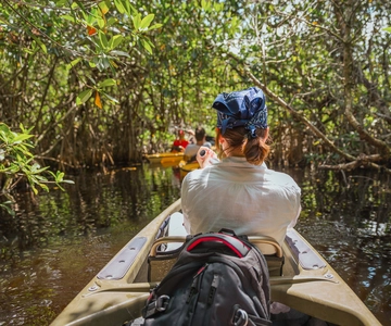 Everglades National Park: Mangrove Tunnel Kayak Eco-Tour