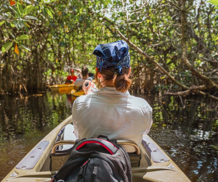 Everglades Nationalpark Mangroventunnel Kayak Öko-Tour