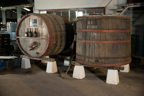 Montevideo: Tour of a century-old urban winery and tasting of 6 wines