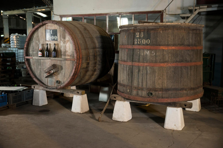 Montevideo: Tour of a century-old urban winery and tasting of 6 wines