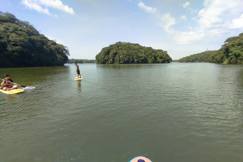 Paddleboarding und BBQ-Erlebnis am Billings Stausee