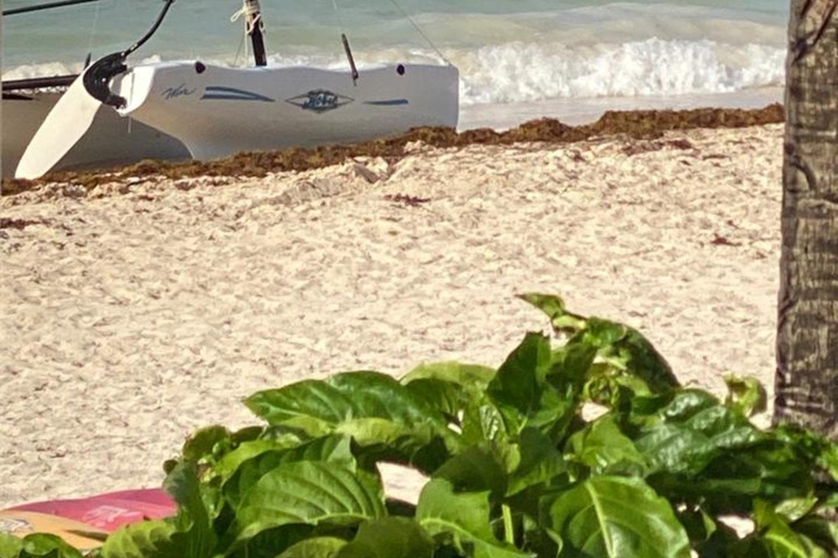 Punta Cana: Discover Scuba Diving Experience for Beginners