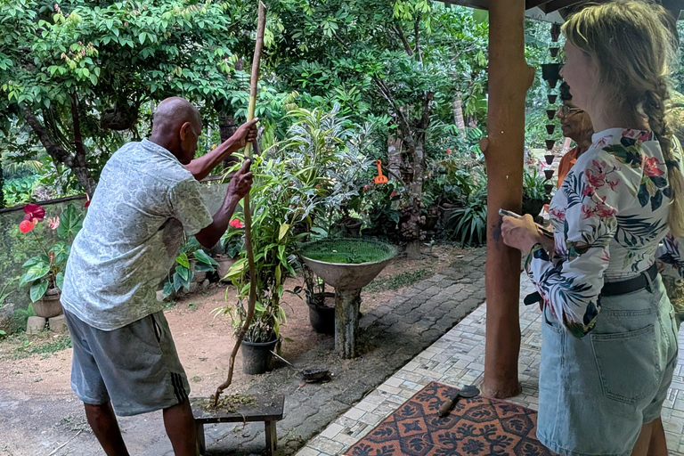 Mirissa: Cinnamon Garden Tour with Peeling Class