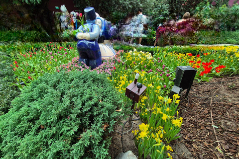 Explore Local Gems: An Unforgettable Guided Adventure