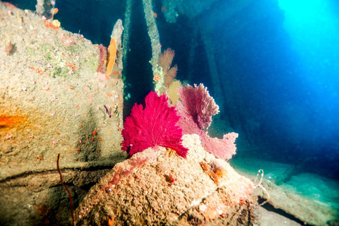 Mirissa: Scuba/Wreck Diving Experience (Shallow & Deep)