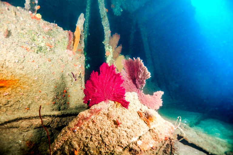 Mirissa: Scuba/Wreck Diving Experience (Shallow & Deep)