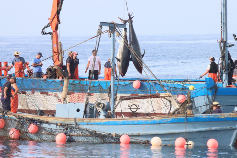 Barbate : Tour en bateau à l&#039;Almadraba de Conil (pêche au thon)