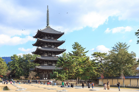 Nara: The Origin - Walking Tour