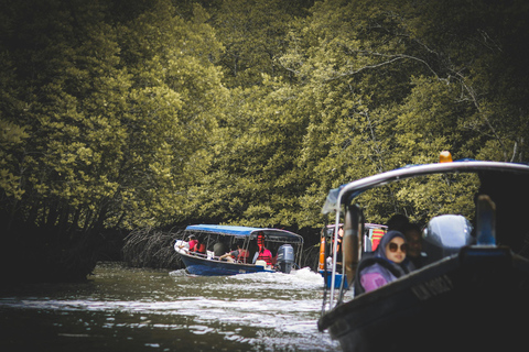 Langkawi : Excursion en bateau rapide dans la mangrove de Tanjung RhuBateau partagé avec transfert privé et déjeuner