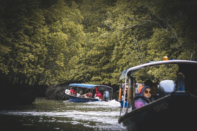 Langkawi: Tanjung Rhu Mangrove Speedboat Tour Shared Boat with Lunch (Meet At Tanjung Rhu Jetty) (2-4 Pax)