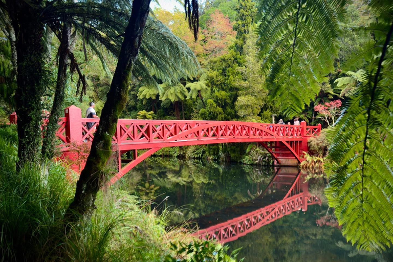 From Tokyo: Nikko Family Adventure with Private Guide
