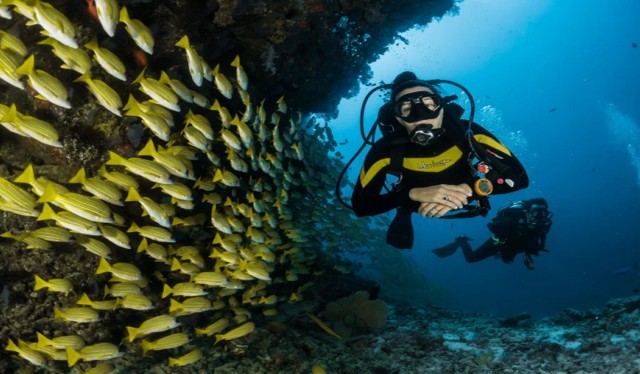 Visit Jeddah Explore Dive in the Majestic Red Sea in Jeddah