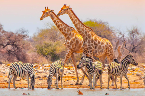 Tansania: 6-tägige Safari-Abenteuerreise mit Wildtieren und KulturTansania: 6 Tage Safari-Abenteuer mit Wildtieren und Kultur