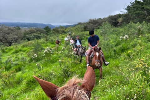 Horseback Ride + Contact Farm in Boquete 2 hours