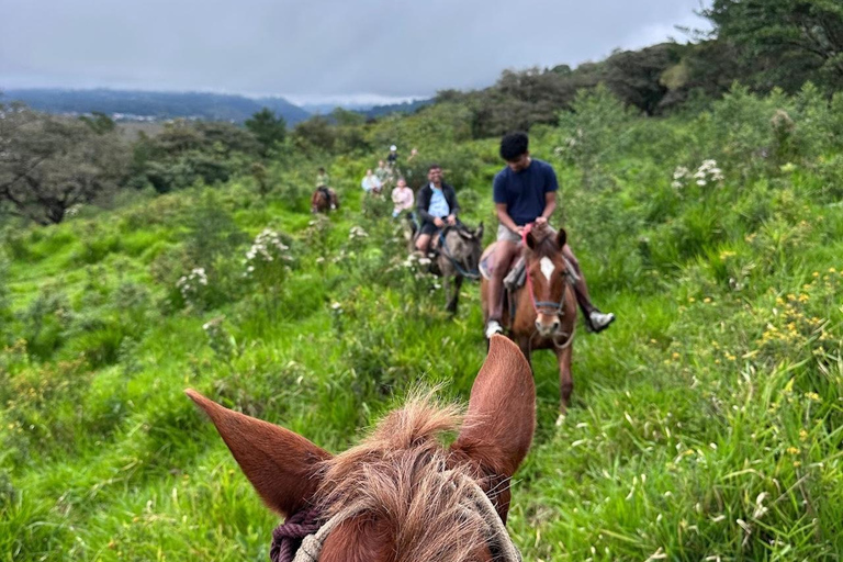 Horseback Ride + Contact Farm in Boquete 2 hours