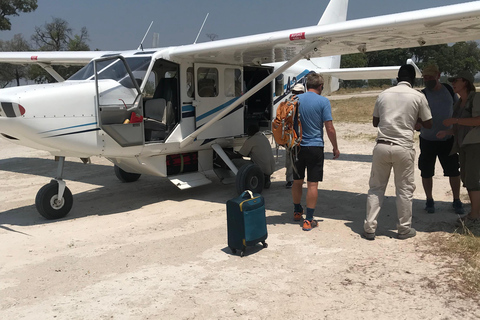 Maun: Vuelo panorámico al Delta del Okavango con servicio de recogida del hotelMaun: Vuelo panorámico por el Delta del Okavango con servicio de recogida del hotel