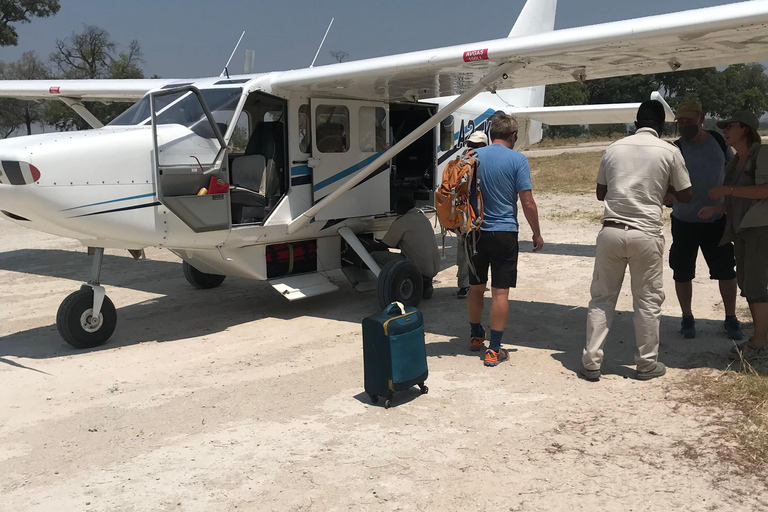 Maun: Vuelo panorámico al Delta del Okavango con servicio de recogida del hotelMaun: Vuelo panorámico por el Delta del Okavango con servicio de recogida del hotel