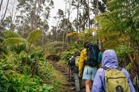 Big Island: grupo del parque nacional de los volcanes o caminata privadaTour en grupo