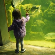 Galway Atlantaquaria: Group Entry Ticket