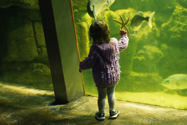 Galway Atlantaquaria: Gruppinträdesbiljett