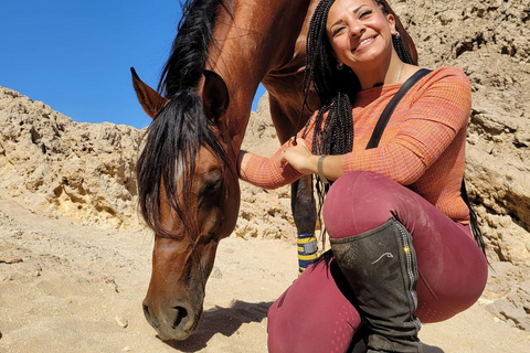 الغردقة: جولة ركوب الخيل في الصحراء والبحر مع خيار السباحةجولة لمدة ساعتين لركوب الخيل بدون السباح