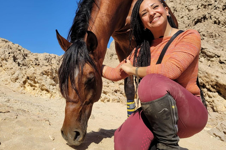 الغردقة: جولة ركوب الخيل في الصحراء والبحر مع خيار السباحةجولة لمدة ساعتين لركوب الخيل بدون السباح