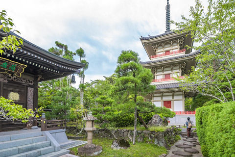 Tokyo: City Full-Day Private Customizable Best Places Tour