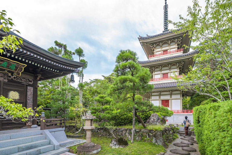 Tokyo: City Full-Day Private Customizable Best Places Tour