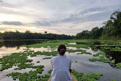 4-day tour of the Yanayacu River with bird watching