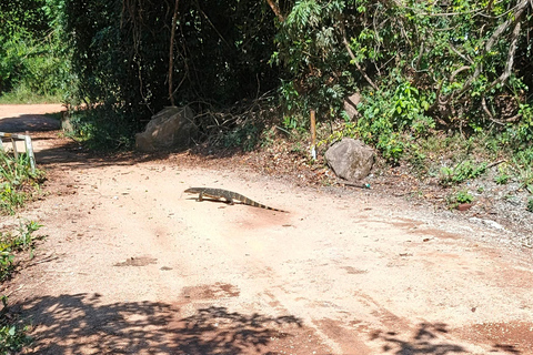 Hurulu Eco Park Elephant Safari & Lake View Tour - Sigiriya Hurulu Park Private Safari & Lake View Tour - Jeep Fee Only