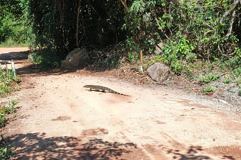 Hurulu Eco Park Elephant Safari & Lake View Tour - Sigiriya Hurulu Park Private Safari & Lake View Tour - Jeep Fee Only