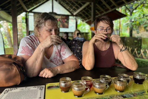 Ubud: Private Half-Day Tour Rice Terrace, Temple & Waterfall Private Ubud Half-Day Tour (Without Entrance Ticket)