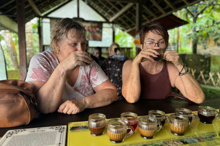 Ubud: Private Half-Day Tour Rice Terrace, Temple & Waterfall Private Ubud Half-Day Tour (Without Entrance Ticket)
