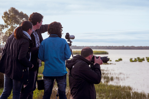 From El Rocío: Doñana National Park 4x4 Tour with Guide