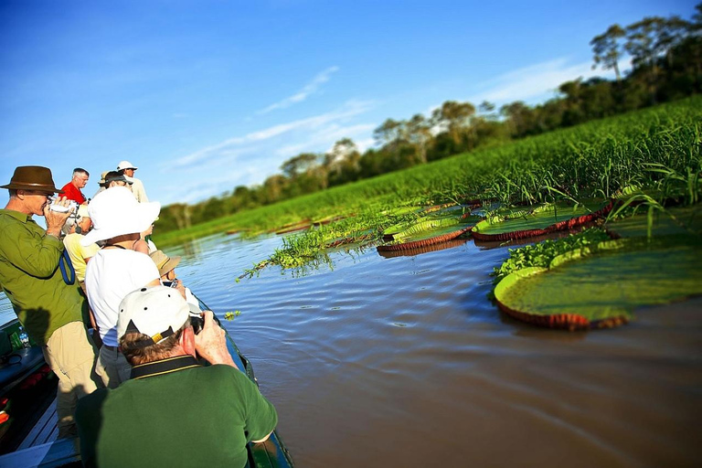 Excursie van 1 dag naar het Pacaya Samiria Reservaat