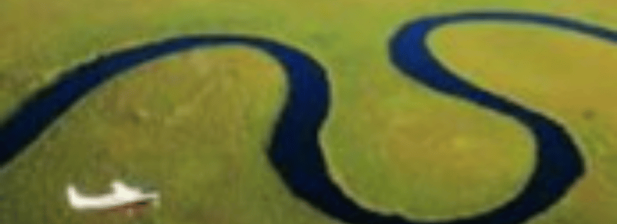 Excursion d'une journée en mokoro dans le delta de l'Okavango