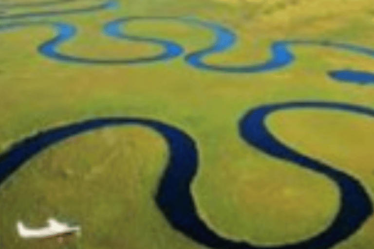 Excursión de un día en Mokoro por el Delta del Okavango