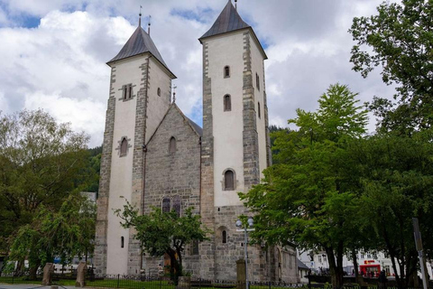 Bergen: Historical Walking Tour