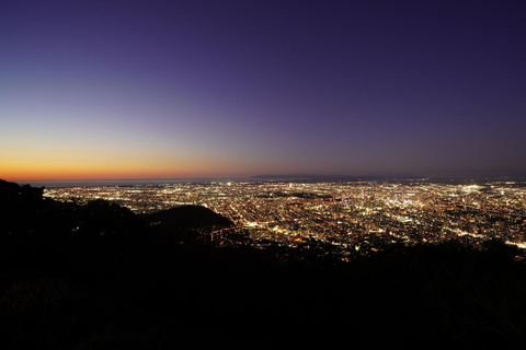 سابورو: جولة تلفريك جبل مويوا - ليلاً أو نهاراً، 4 خياراتاليوم – RT المحلي
